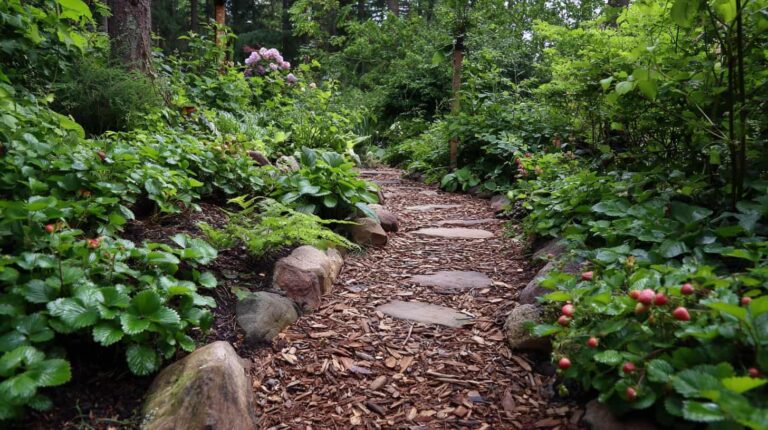 12 Jaw-Dropping Wild Berry Garden Ideas You’ll Want to Copy ASAP