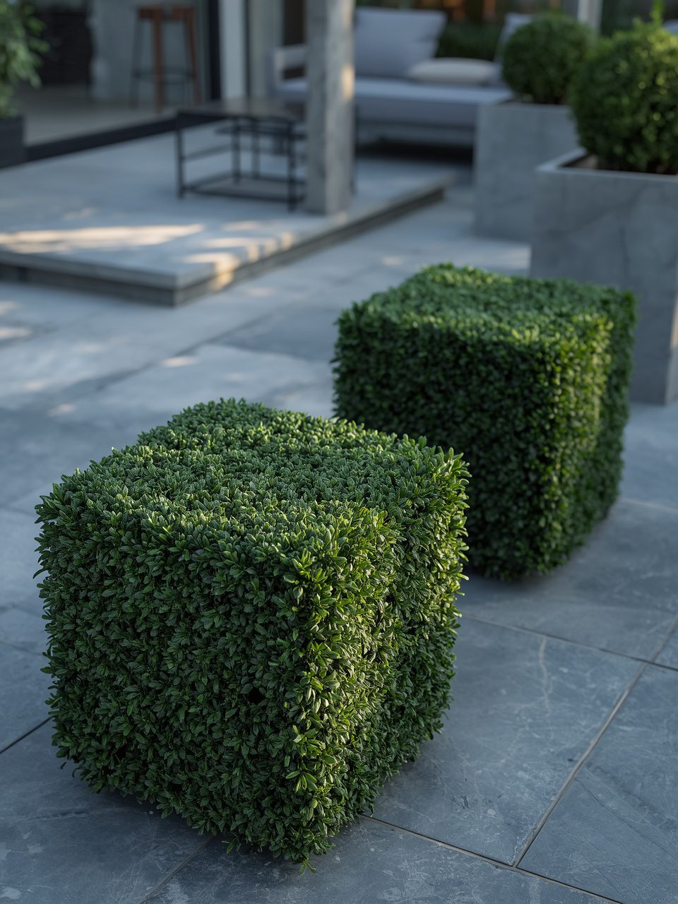 4. Geometric Cube Forms - 12 Elegant Topiary Garden Ideas To Elevate Your Outdoor Space