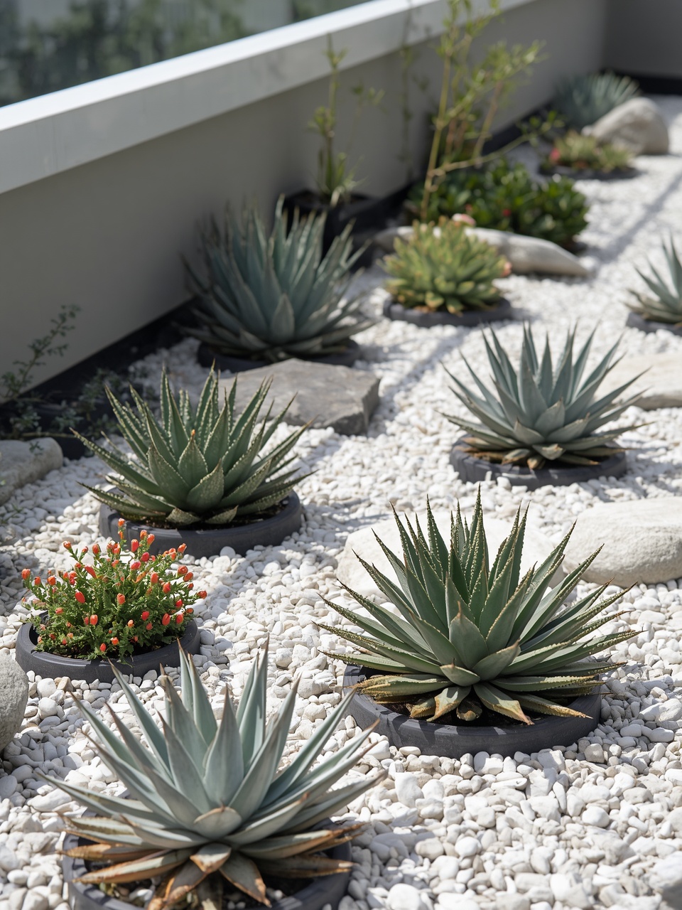 10. Succulent Rock Garden - 12 Stunning Rooftop Garden Ideas to Transform Your Space