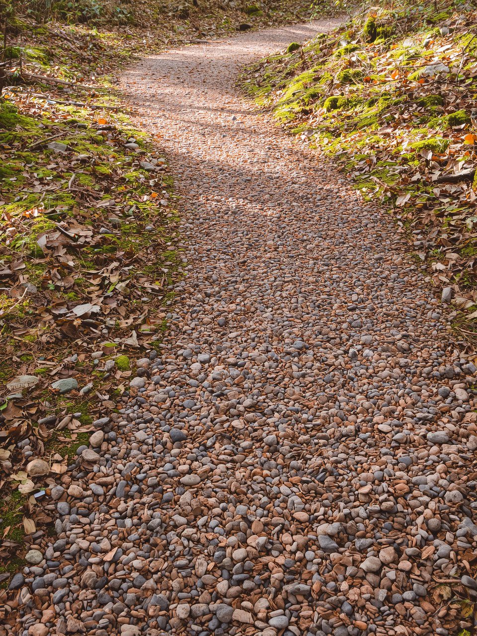 8. Natural Gravel Trail - 15 Magical Woodland Garden Path Ideas To Transform Your Outdoor Space